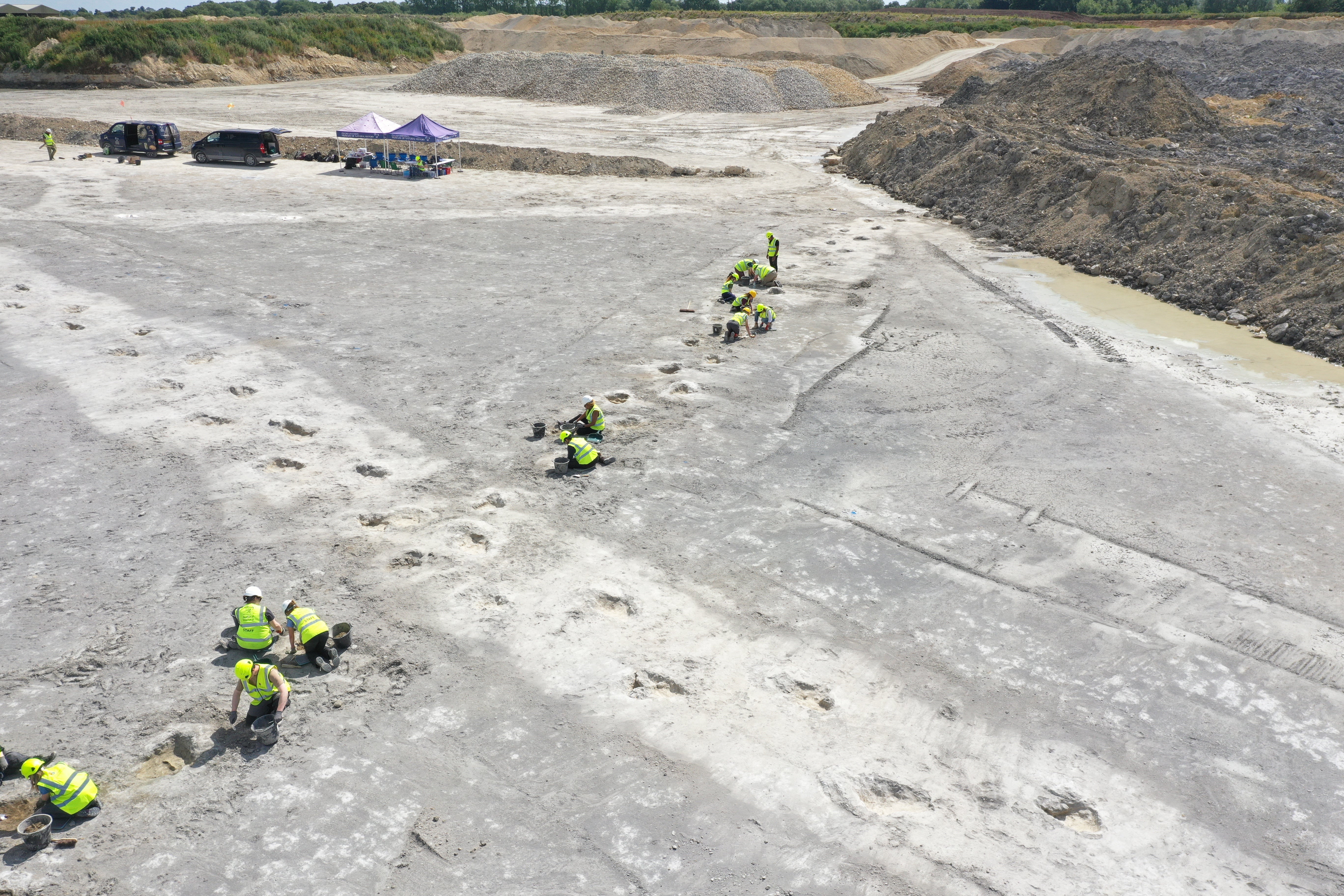 The footprints were made 166 million years ago. (University of Birmingham/PA)