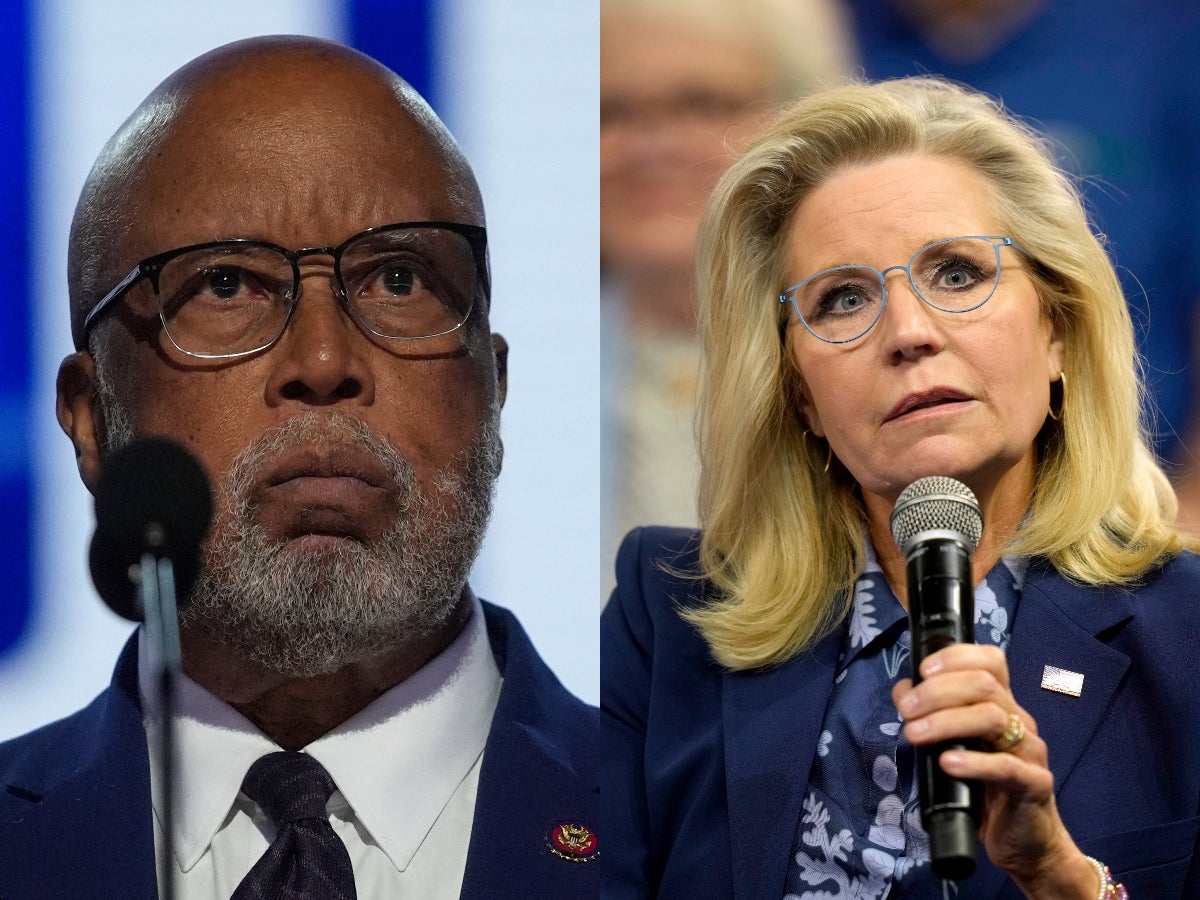 Bennie Thompson and Liz Cheney led the investigation into the January 6 riot, attracting Trump’s wrath