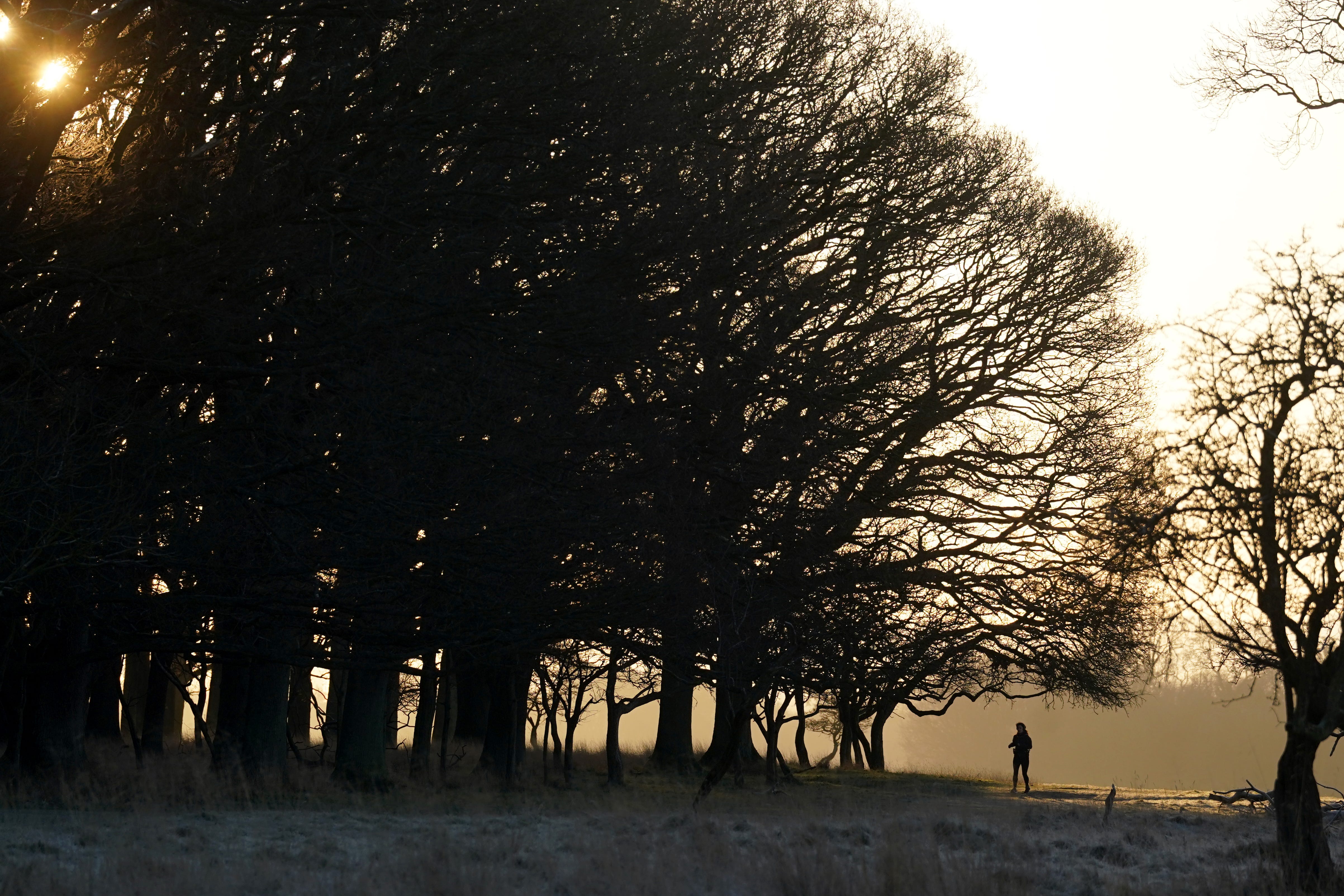 A jogger braves the cold in Phoenix Park in Dublin, Ireland. A status yellow ice warning is in place on Friday morning for all counties on the island of Ireland, bar Co Fermanagh, with more weather alerts expected. A Met Office alert for icy surfaces is in force from 4pm on Friday until 10am on Saturday, which it said could lead to difficult travel conditions and injuries from slips and falls. Picture date: Friday January 3, 2025.