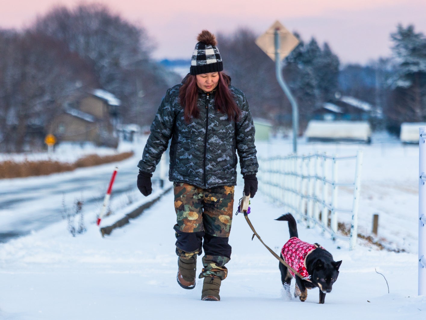 Coats help dogs stay warm