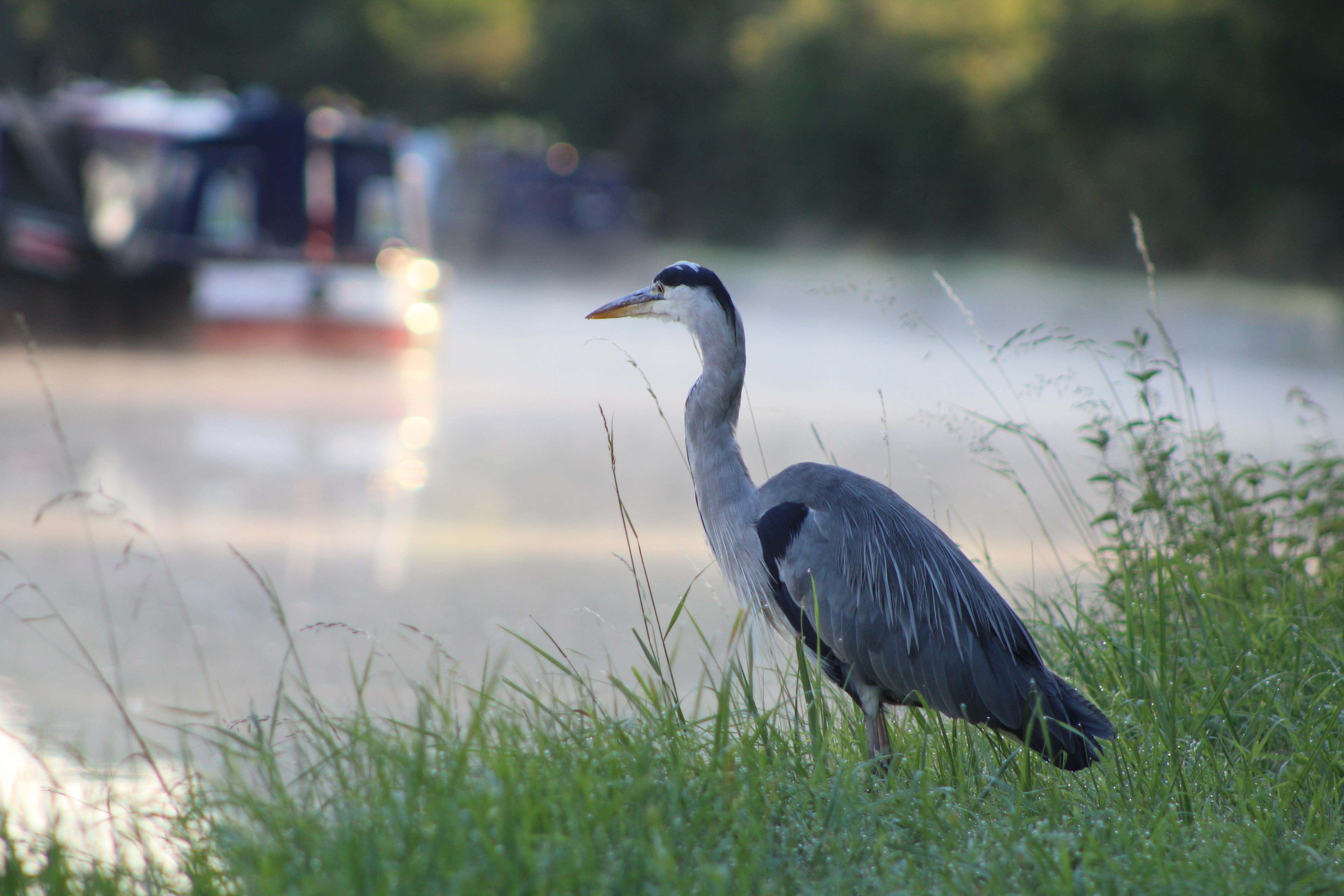 The ecological footprint of the canal network has been mapped (Canal & River Trust/PA)