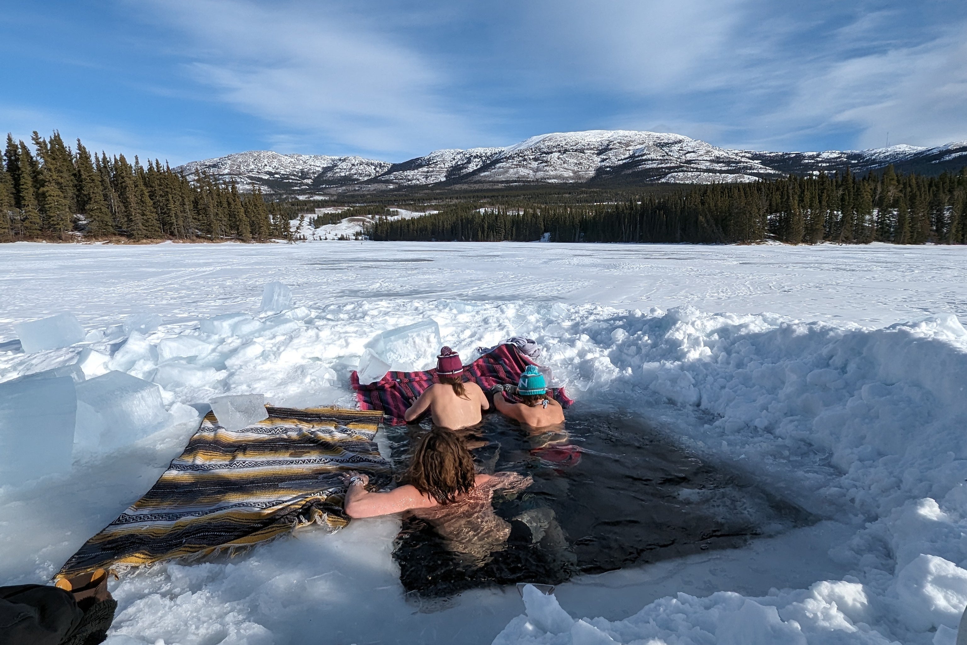 Ice dive among the pines in the Yukon, Canada