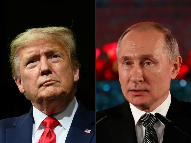 <p>Donald Trump and Vladimir Putin </p>