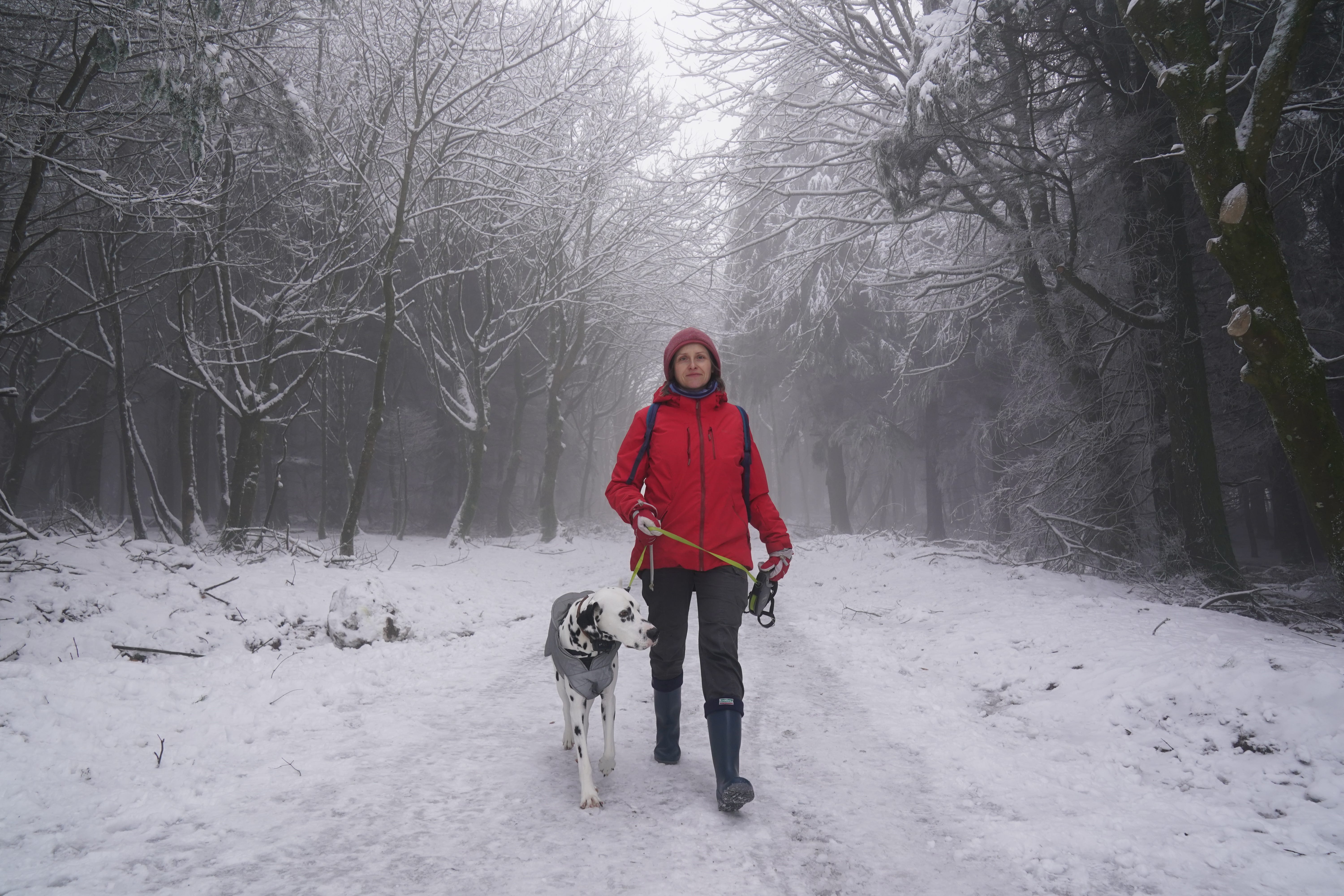 Katarzyna Pupin walking her dalmatian dog Chad in Slade Valley, Co Dublin (Brian Lawless/PA)