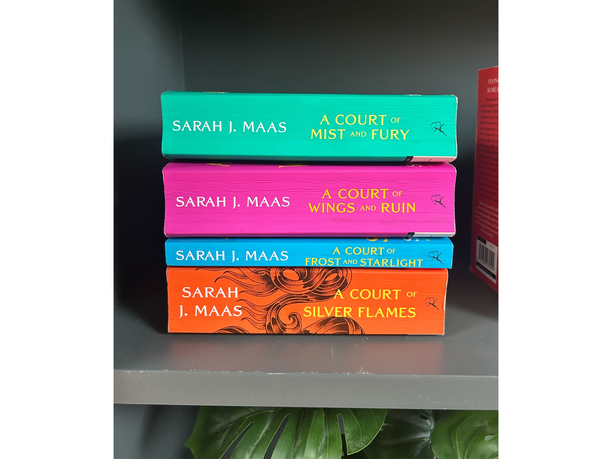The ACOTAR series, minus the first book, which a friend borrowed, at my insistence