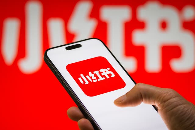 <p>RedNote which is like a cross between Instagram, TikTok, and Pinterest,  is one of the most popular apps in China</p>