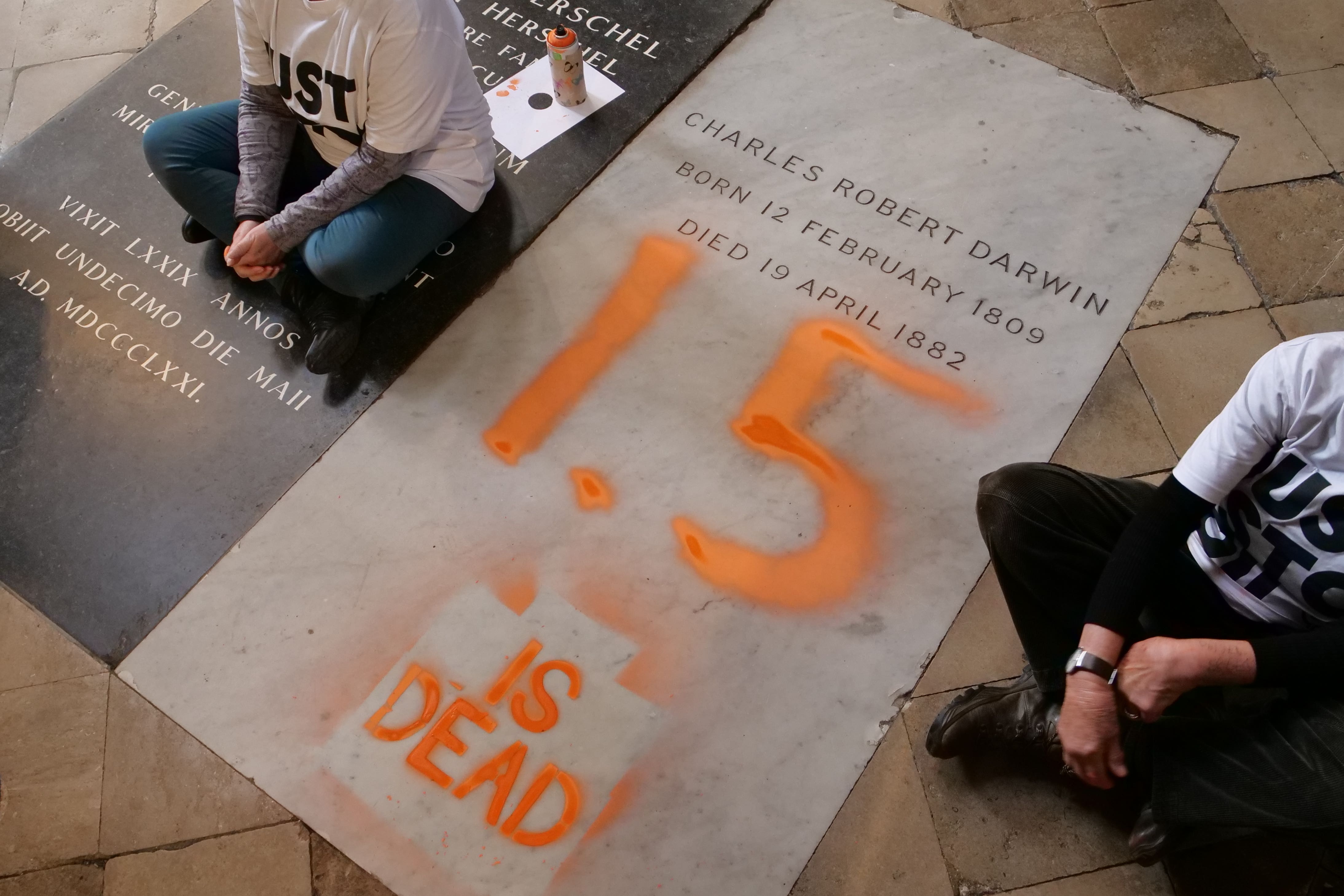 The incident took place at Westminster Abbey on Monday (Just Stop Oil/PA)