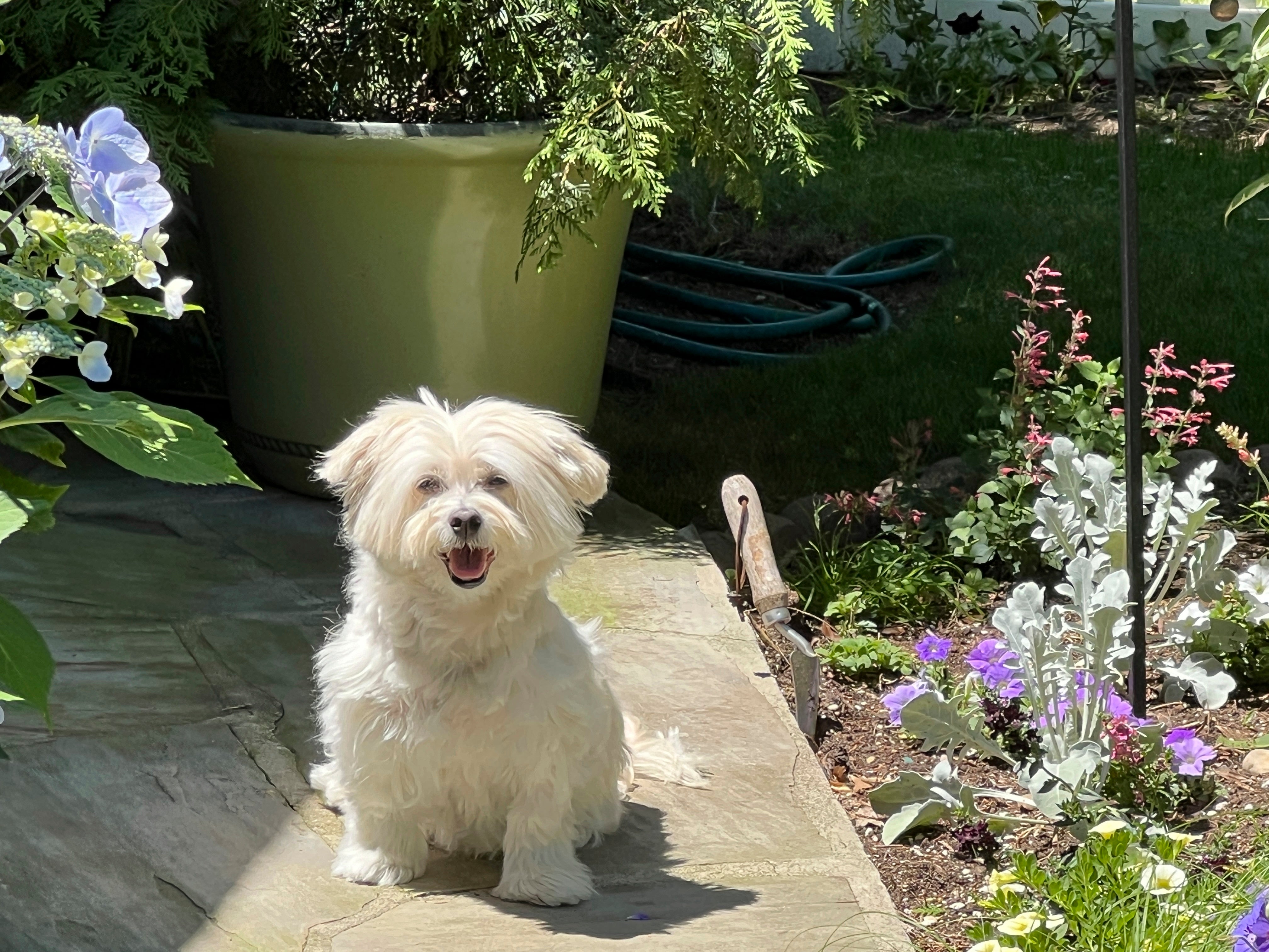 Gardening-Preparing for Spring