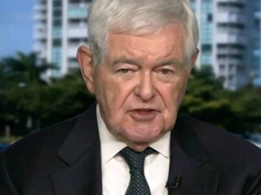 Former House speaker Newt Gingrich interviewed by Maria Bartiromo on Fox Business on Tuesday January 14 2025