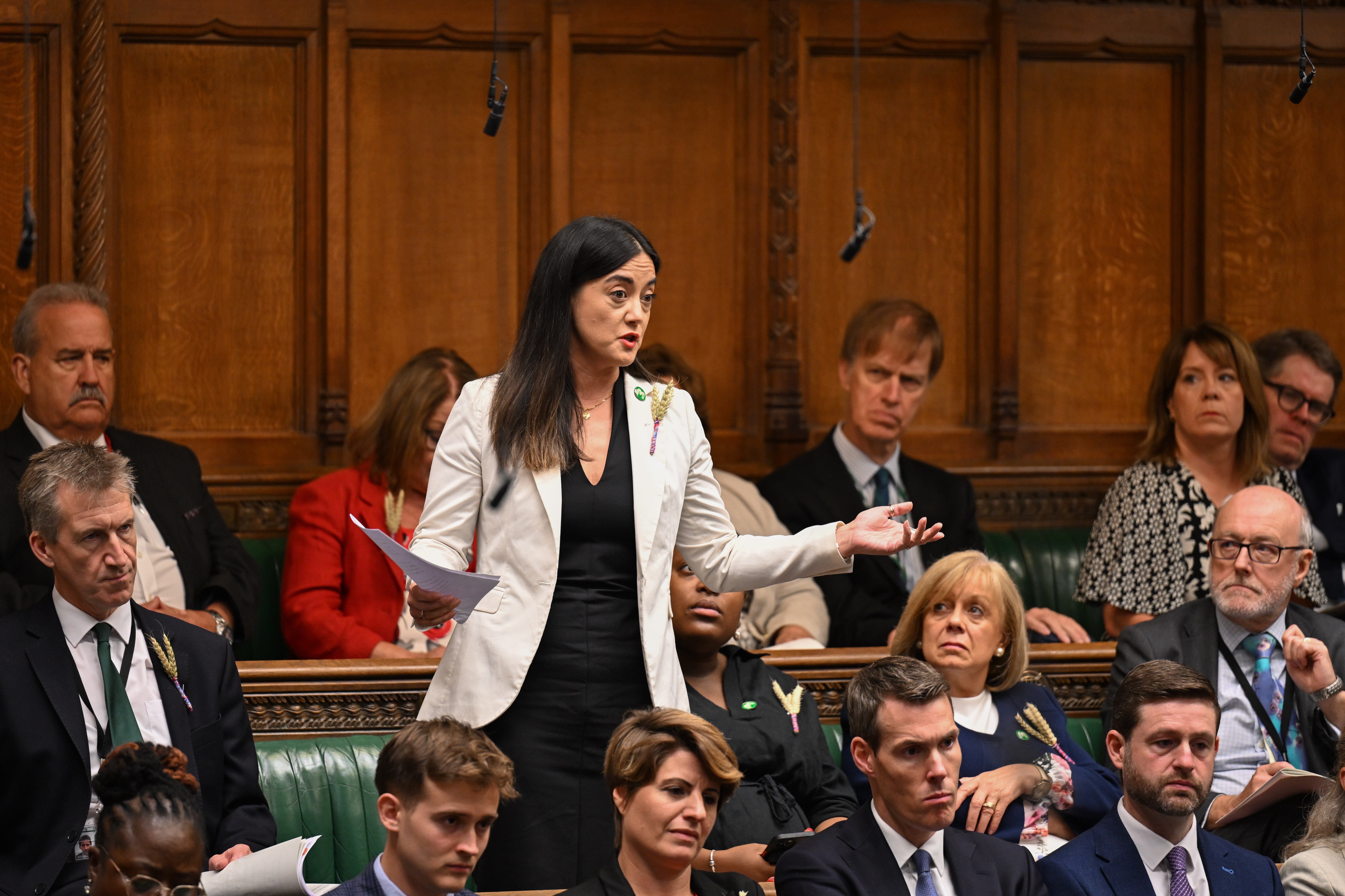 Women and their partners should be entitled to paid bereavement leave if they experience a miscarriage, MPs have recommended (UK Parliament/Jessica Taylor/PA)