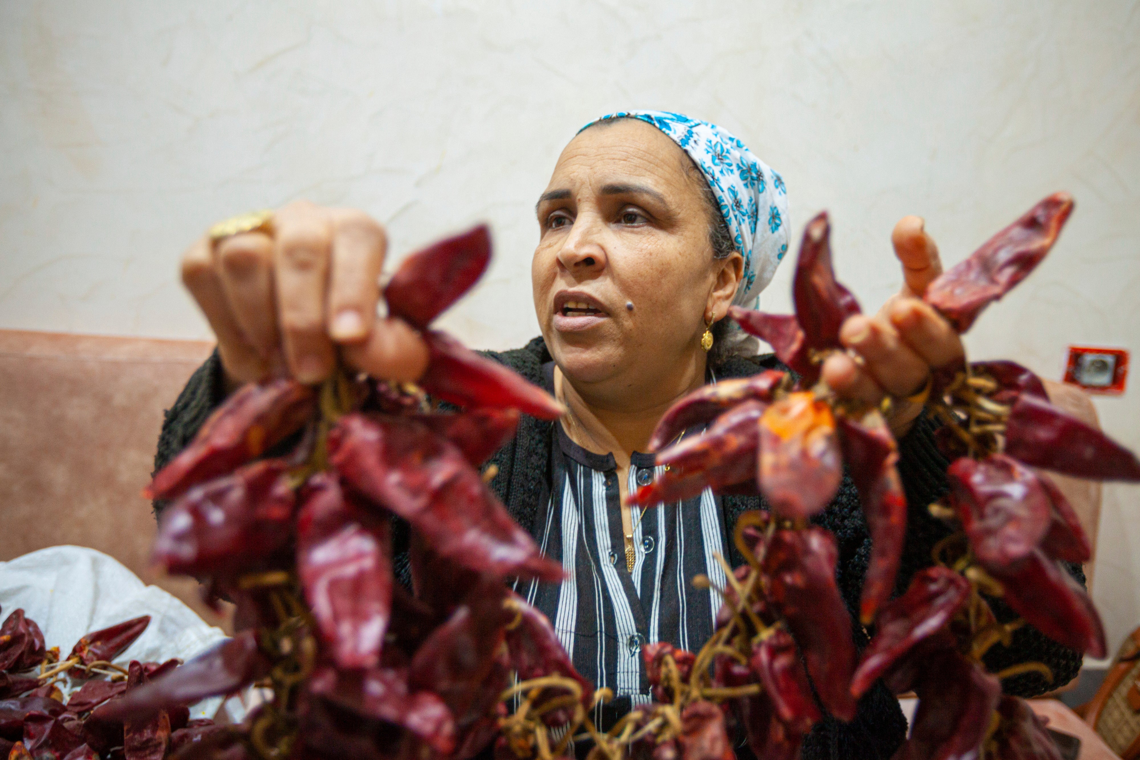 Tunisia Harissa Festival