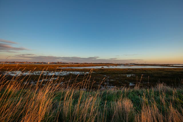 RSPB Wallasea Island Nature Reserve in Essex will benefit from extra land where conservationists hope to create a lagoon to help wildlife to thrive (Ben Andrew/ RSPB/ PA)