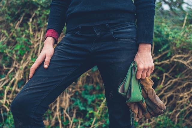 <p>Plant in February to get a head-start on the season ahead</p>