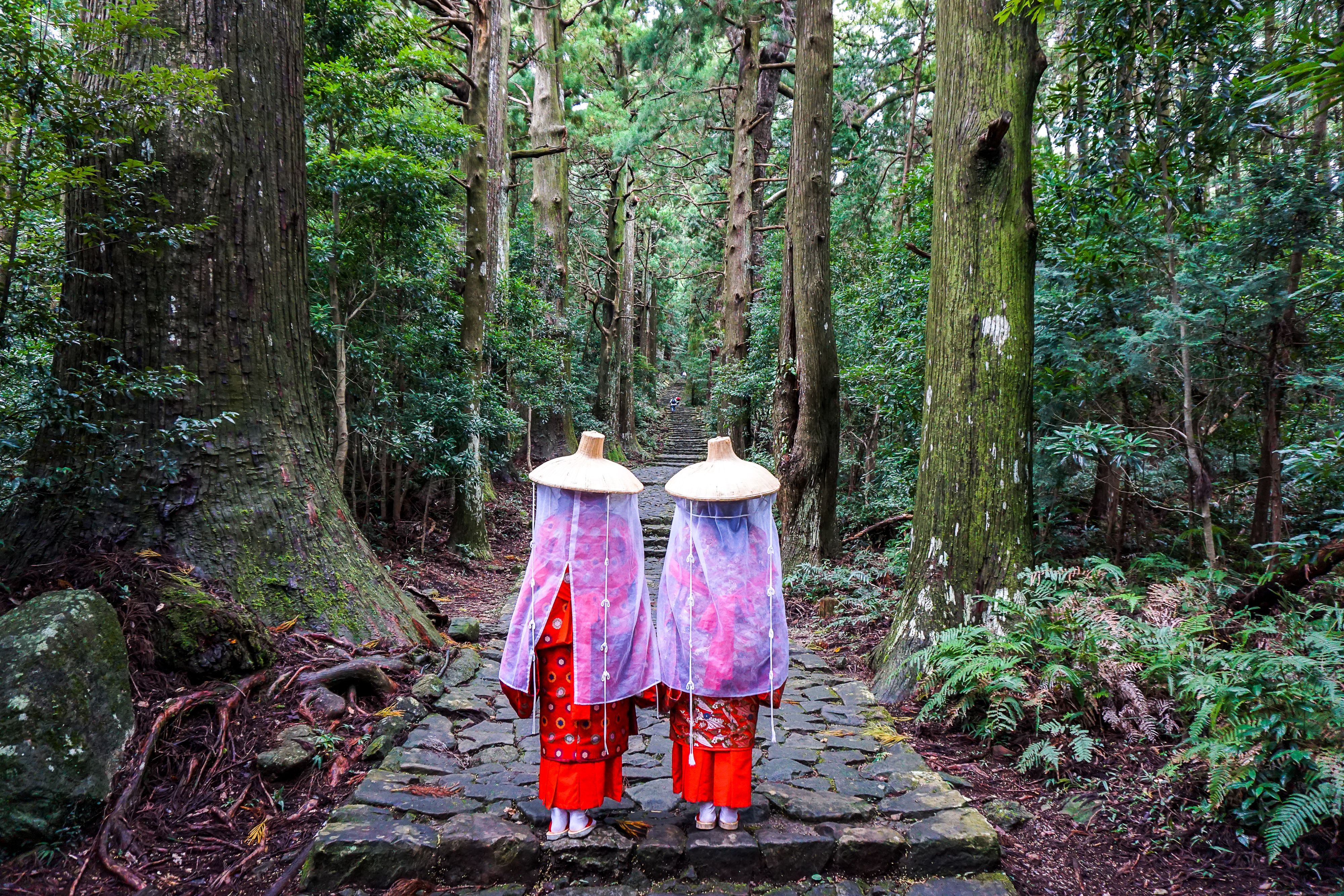 The cobblestone Daimonzaka slope on the Kumano Kodo walking trail