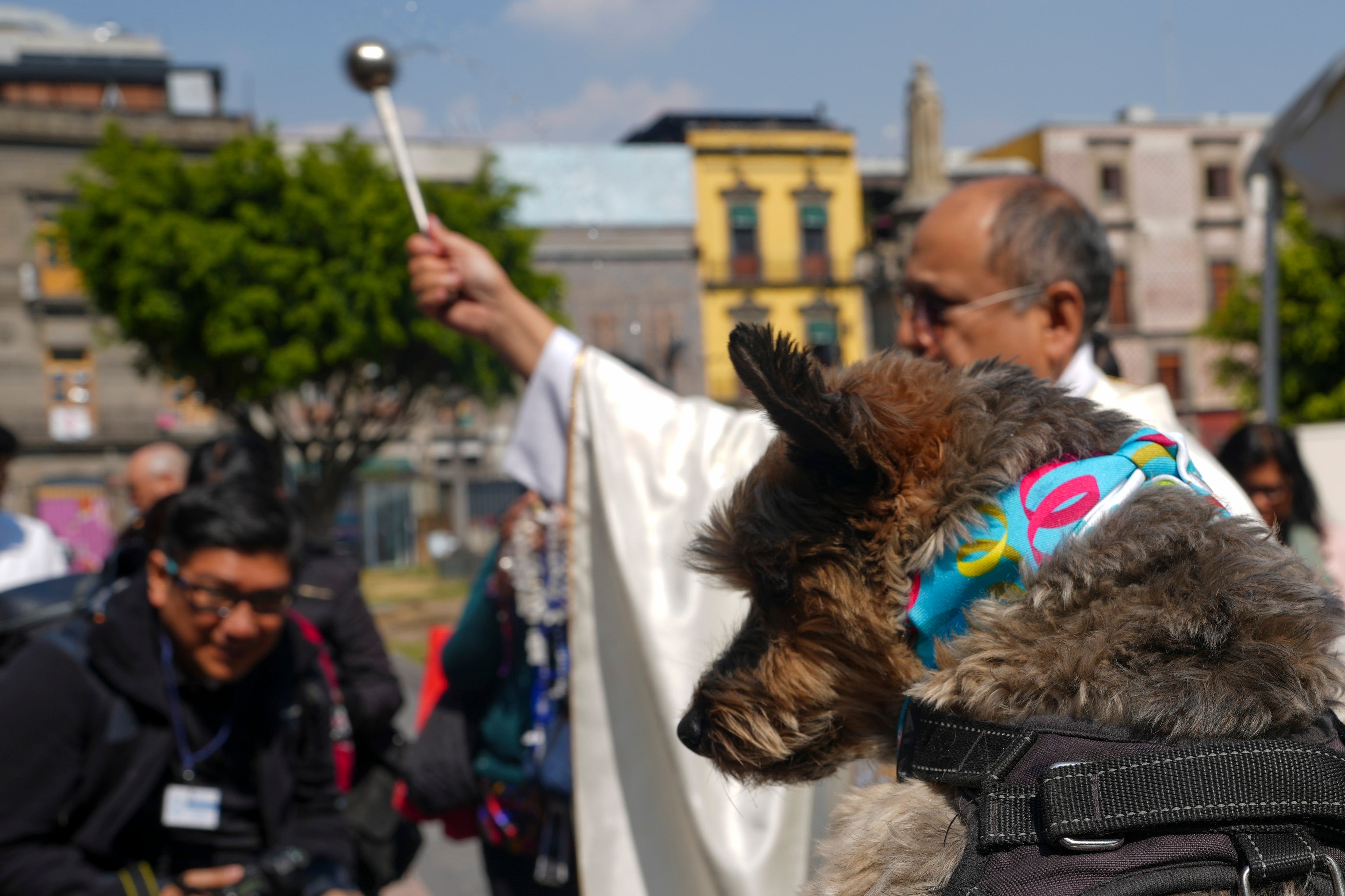 Mexico Blessing of the Pets