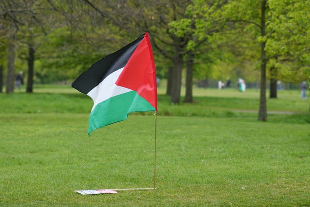 A Palestinian flag in Hyde Park (Jeff Moore/PA)