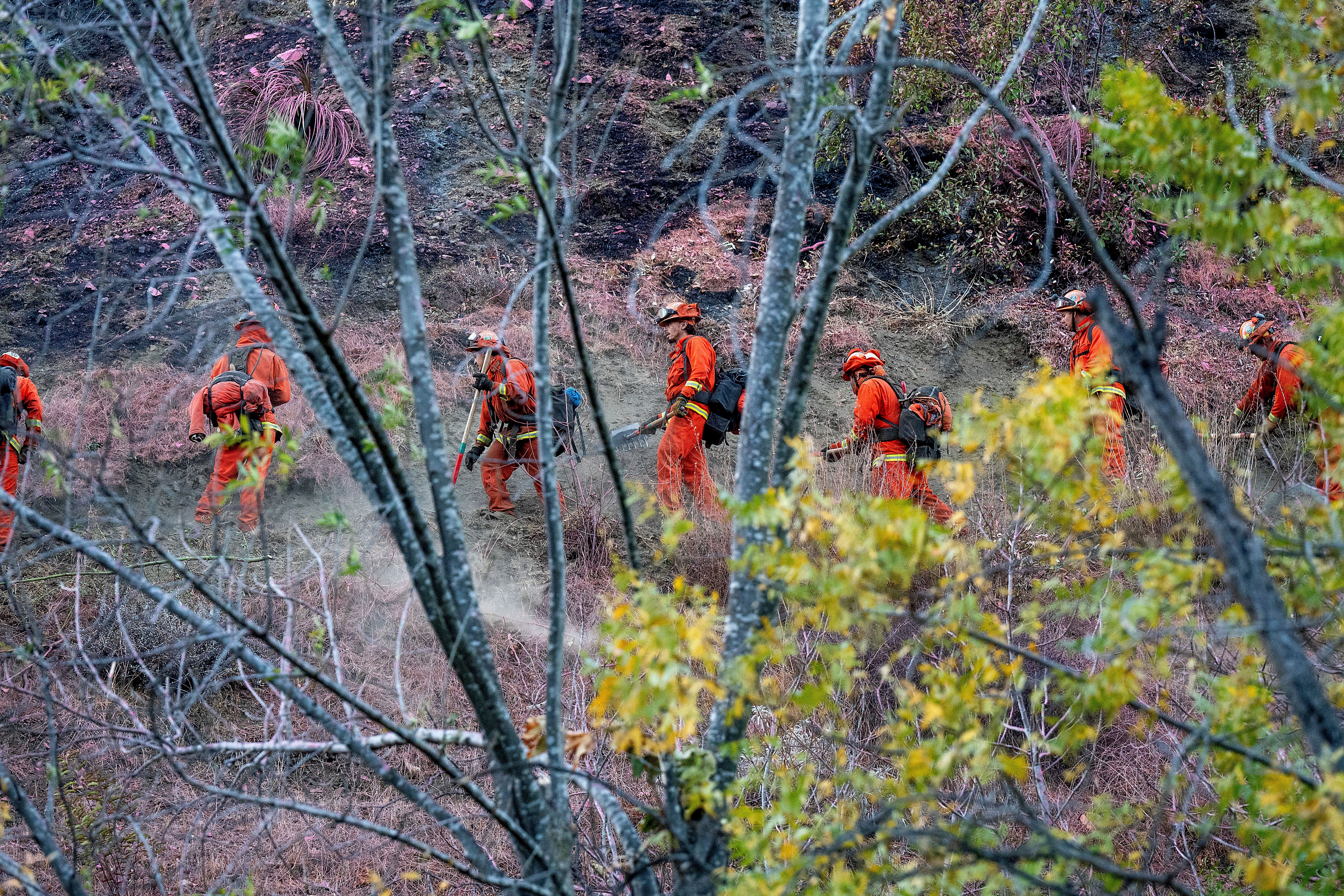 California Wildfires Inmate Firefighters