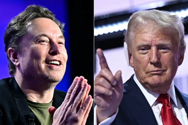 <p>Donald Trump and Elon Musk have argued the government needs to cut costs and eliminate left-wing influence from agencies </p>