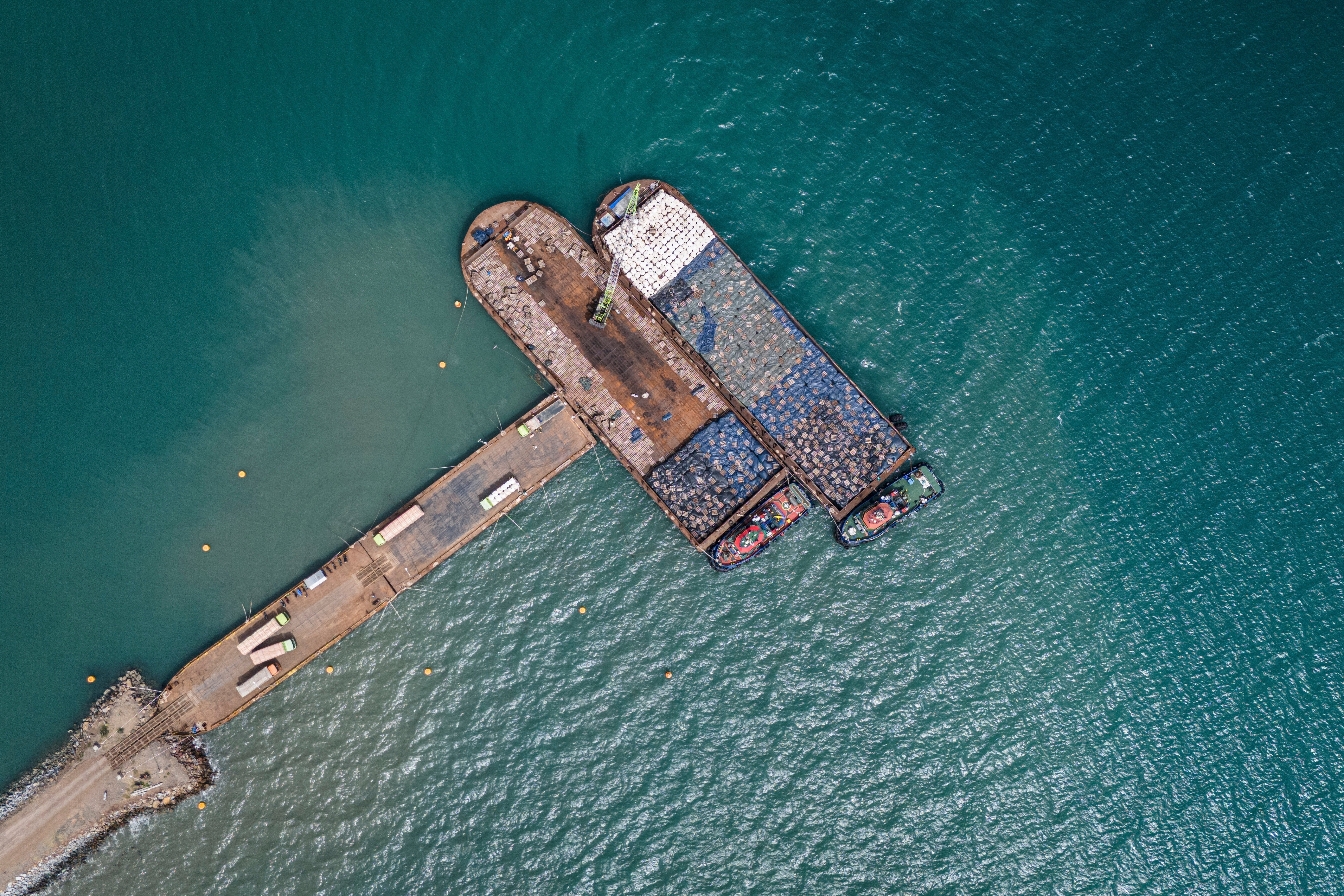 SKorea Deforestation Biomass