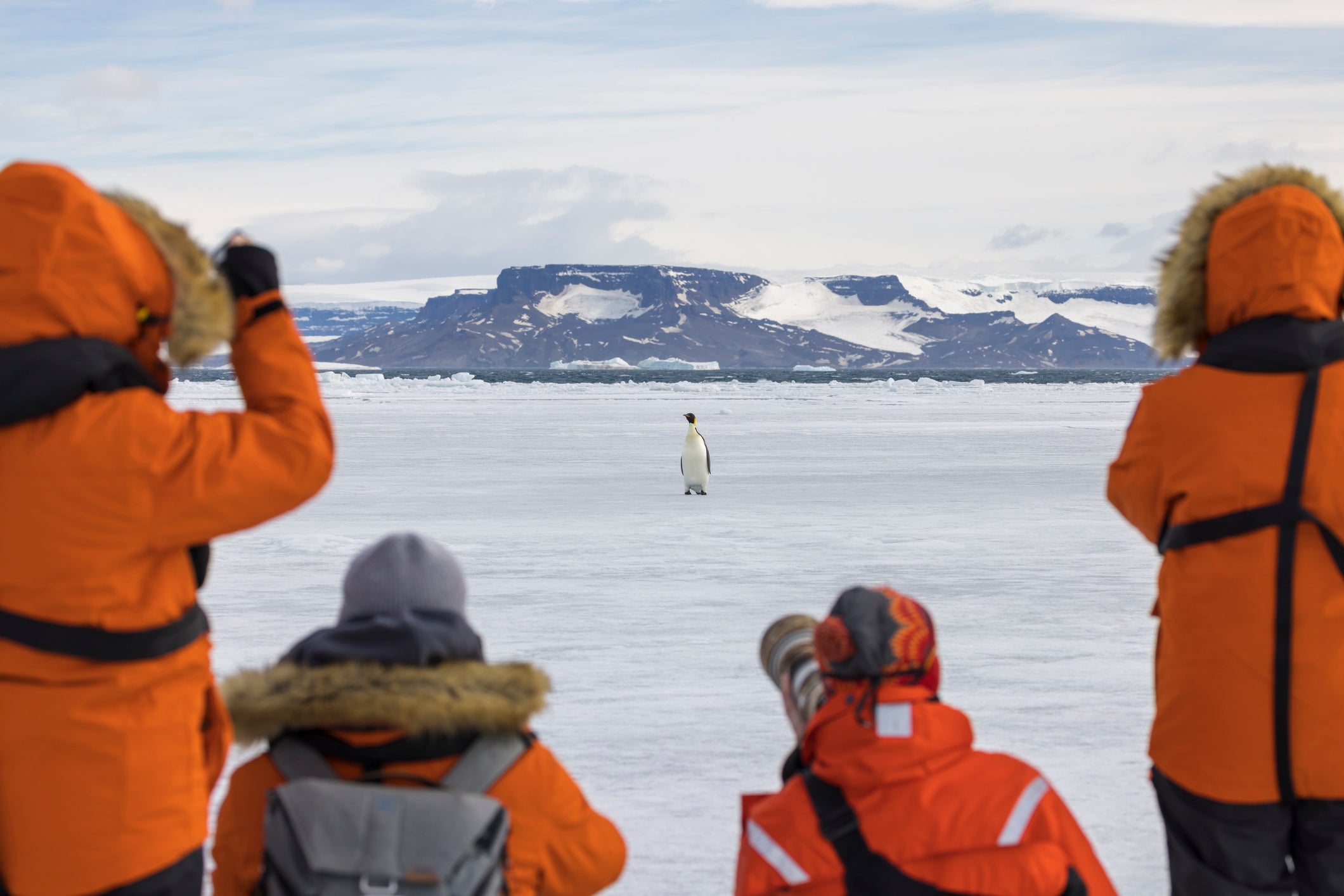 The UK’s Antarctica research bases include Rothera and Halley Station