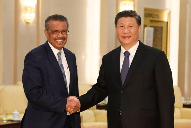 <p>Tedros Adhanom Ghebreyesus and Xi Jinping before their meeting in 2020 </p>