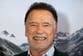 Arnold Schwarzenegger says it would now be ‘easier’ for him to achieve the ‘American Dream’