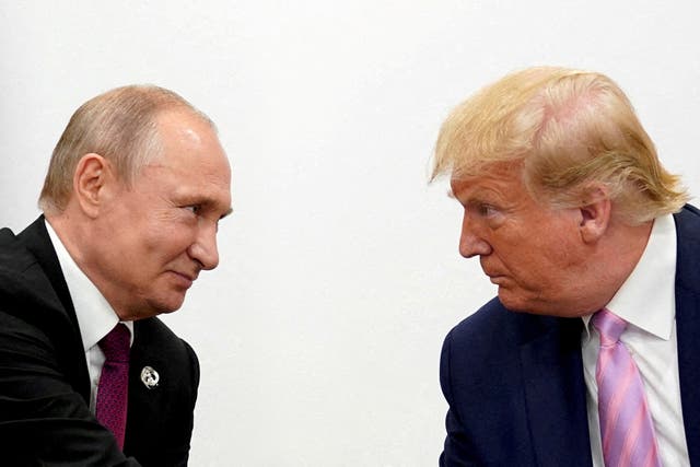 <p>Vladimir Putin and Donald Trump </p>