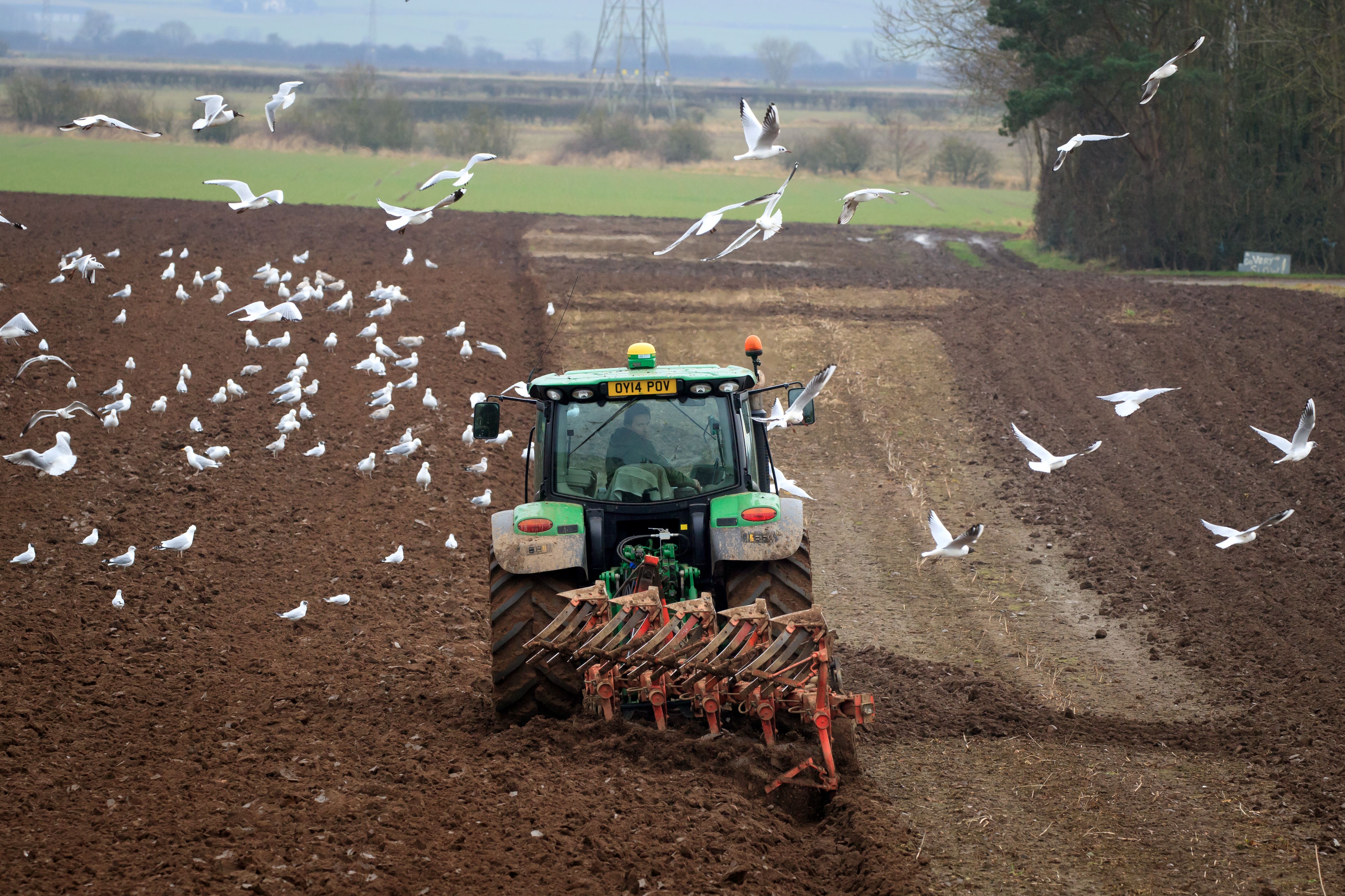 Supermarkets have backed calls for a pause and consultation on inheritance tax for farmers (Danny Lawson/PA)