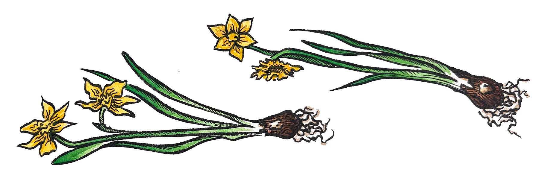 US--Disasters-Lost Relics-Tips