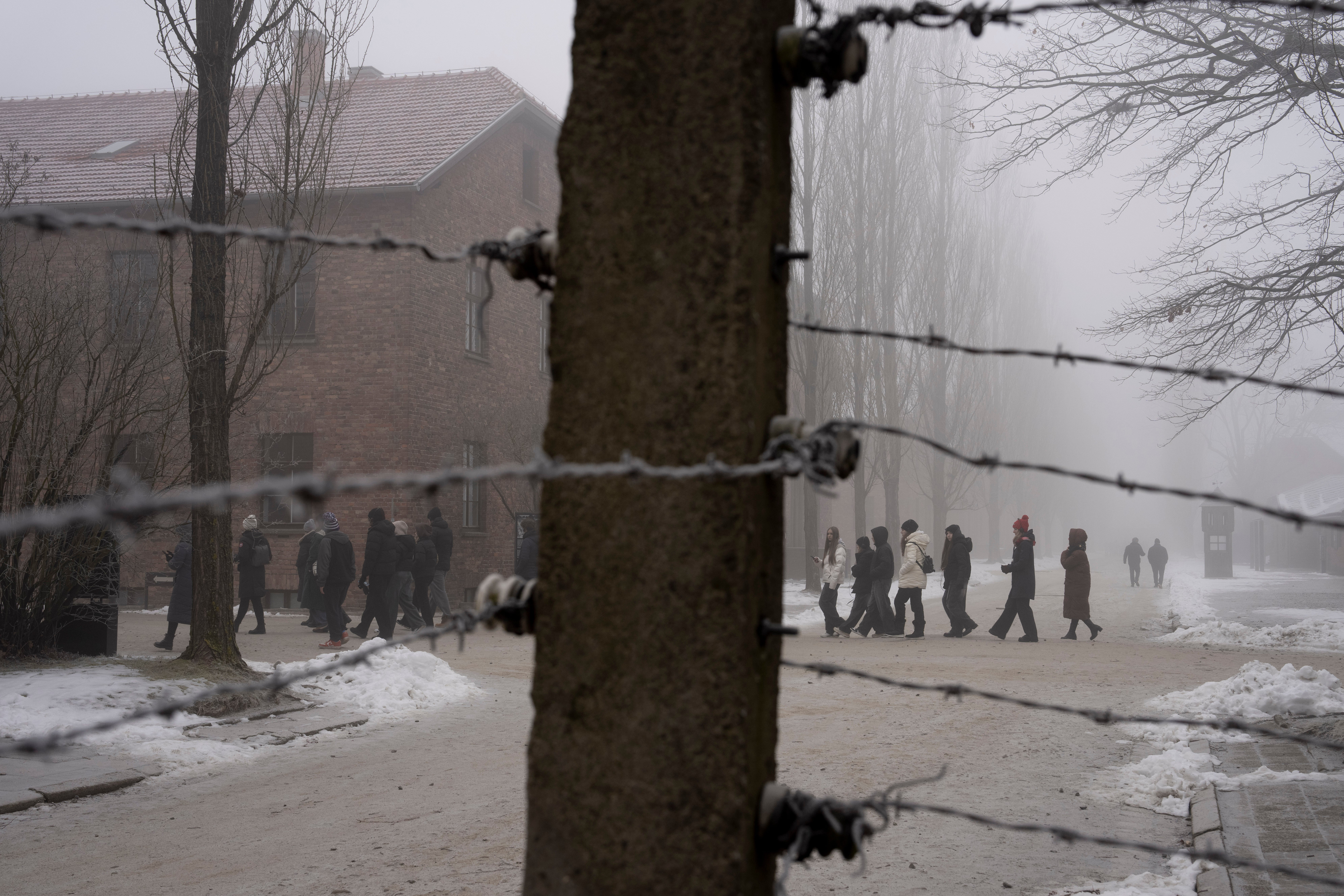 Poland Auschwitz 80th Anniversary
