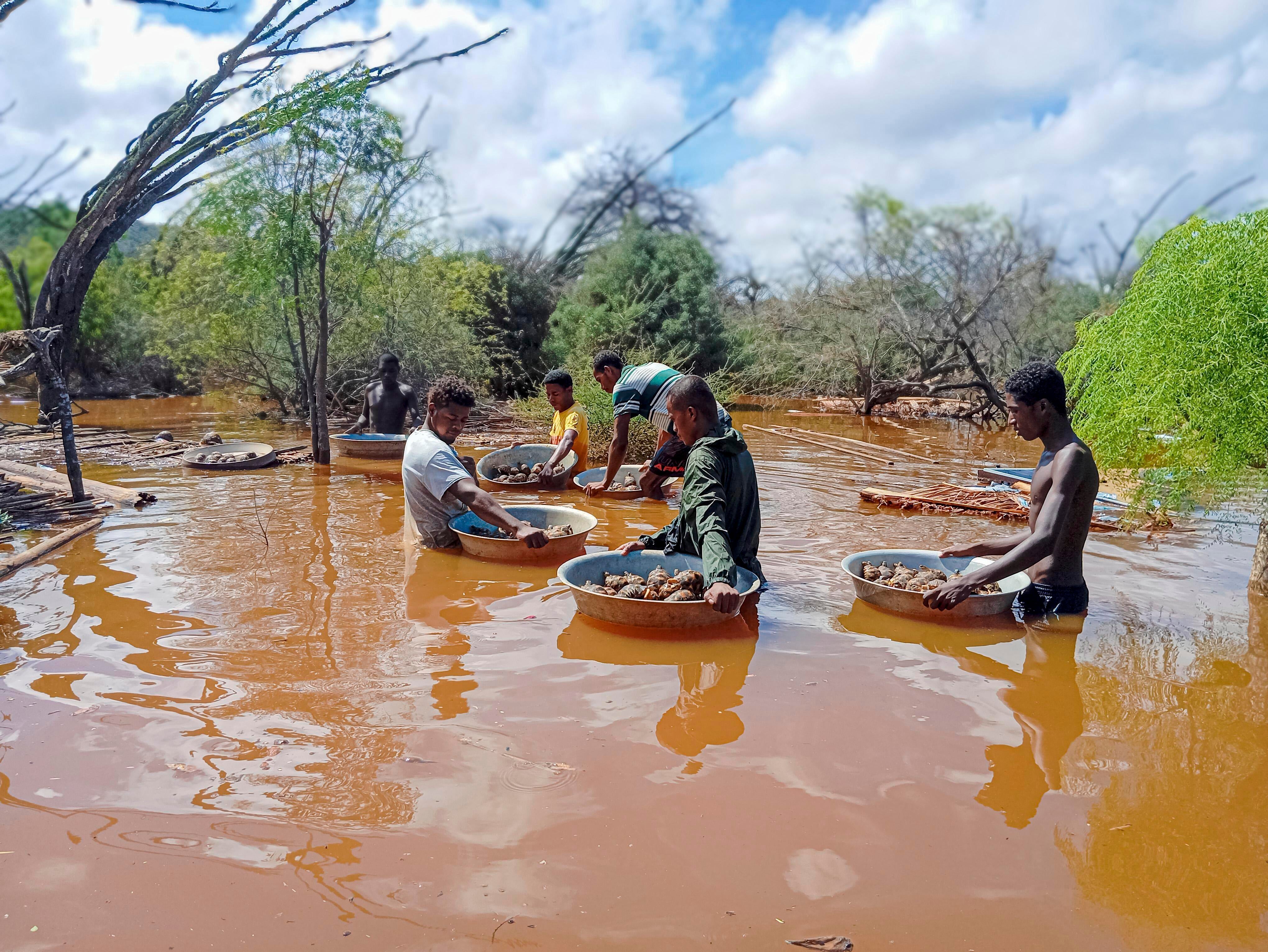 Madagascar Tortoise Rescue