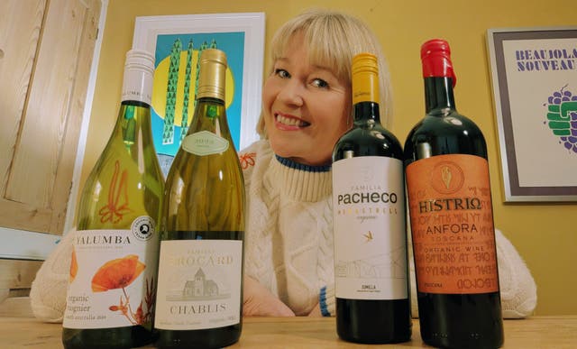 <p>Rosamund Hall has selected the best organic wines of the moment</p>