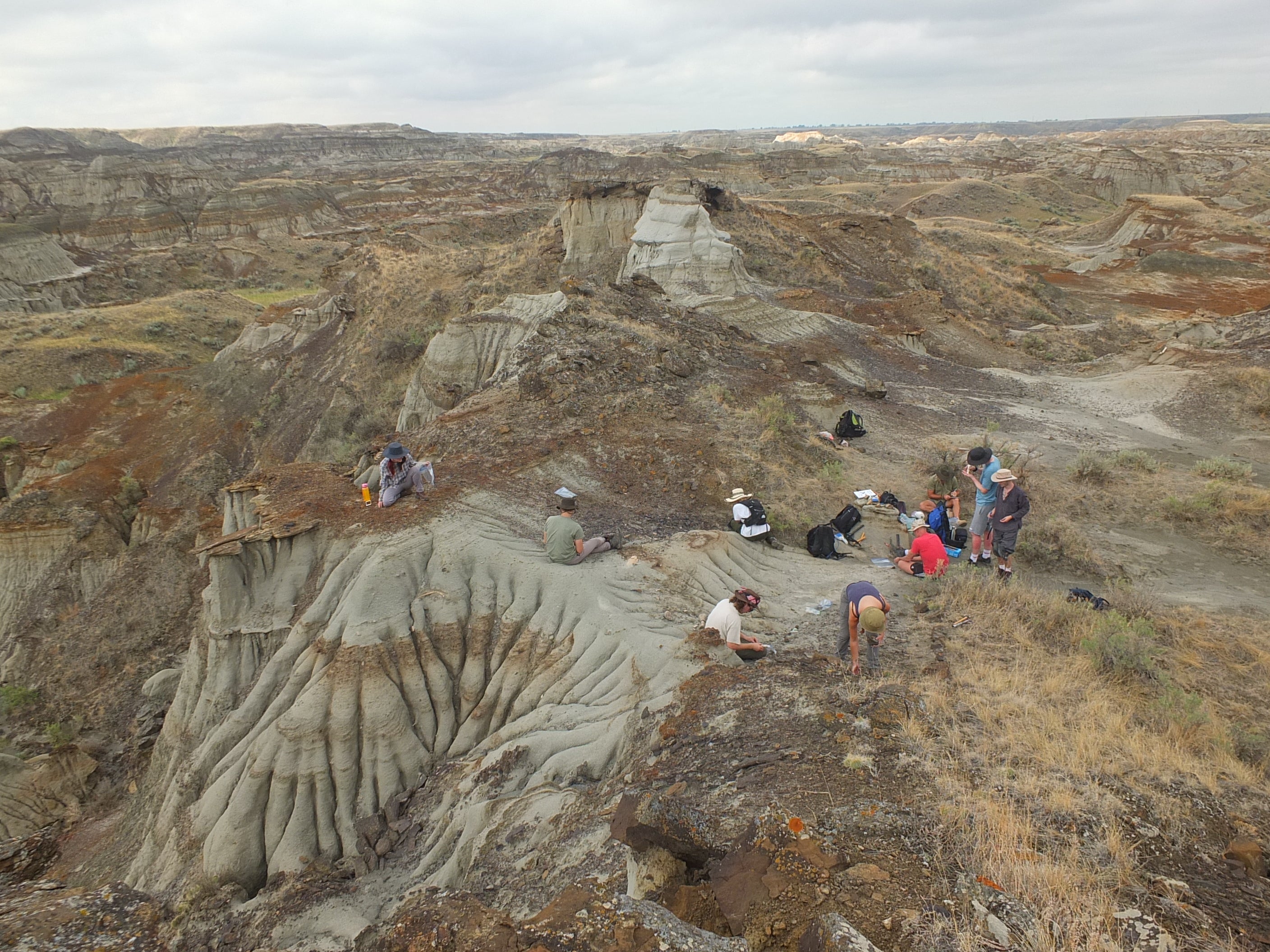 An aerial shot shows researchers working where the fossil was found in Canada’s Dinosaur Provincial Park. Researchers from the Royal Tyrrell Museum of Palaeontology in Canada, the University of Reading, and Australia’s University of New England collaborated on the research