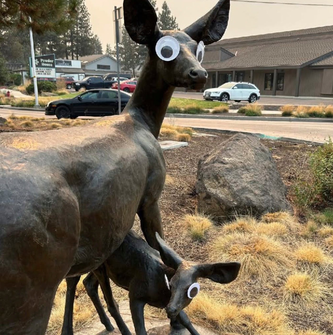 Oregon Googly Eyes Sculptures