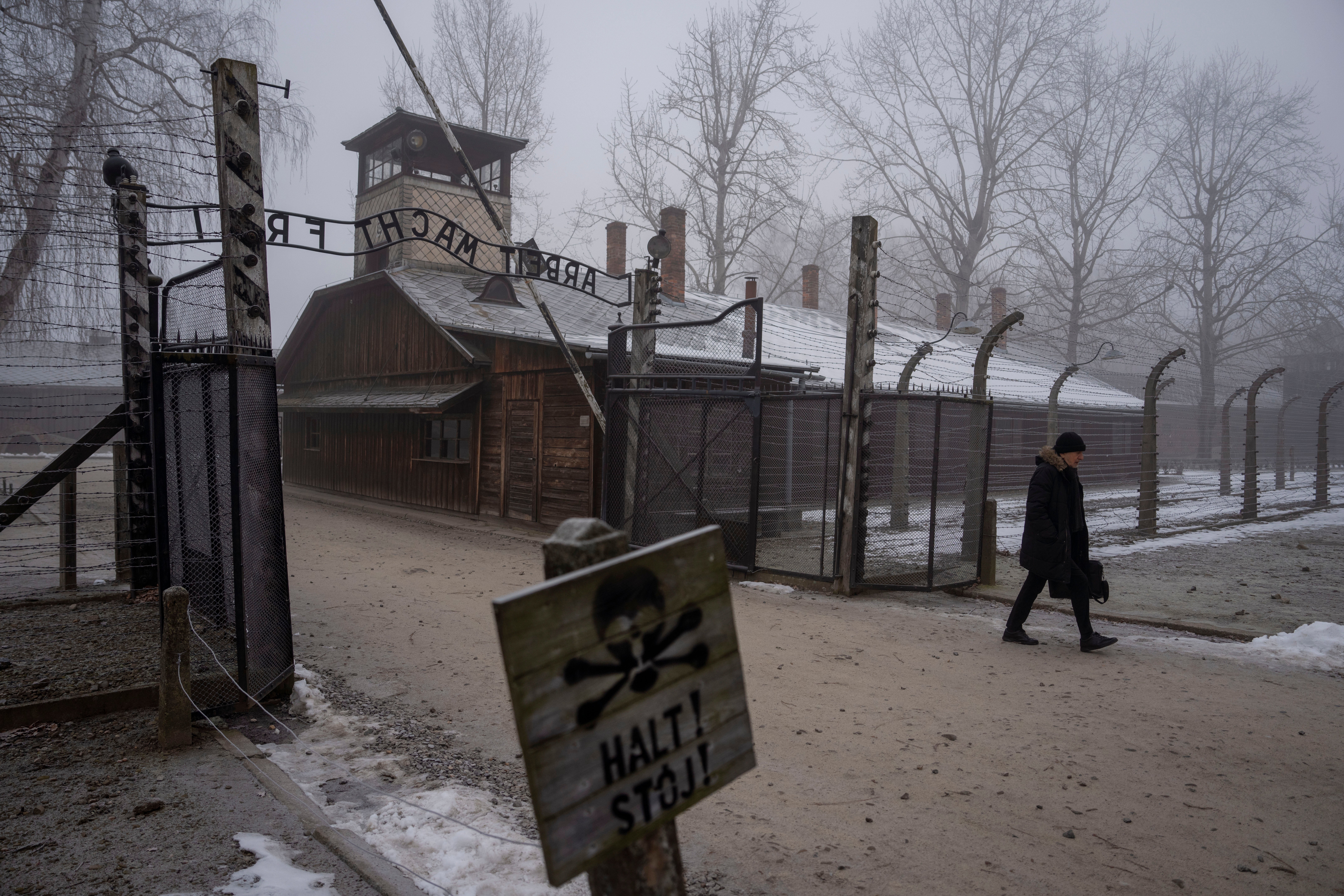 Auschwitz 80th Anniversary Photo Gallery