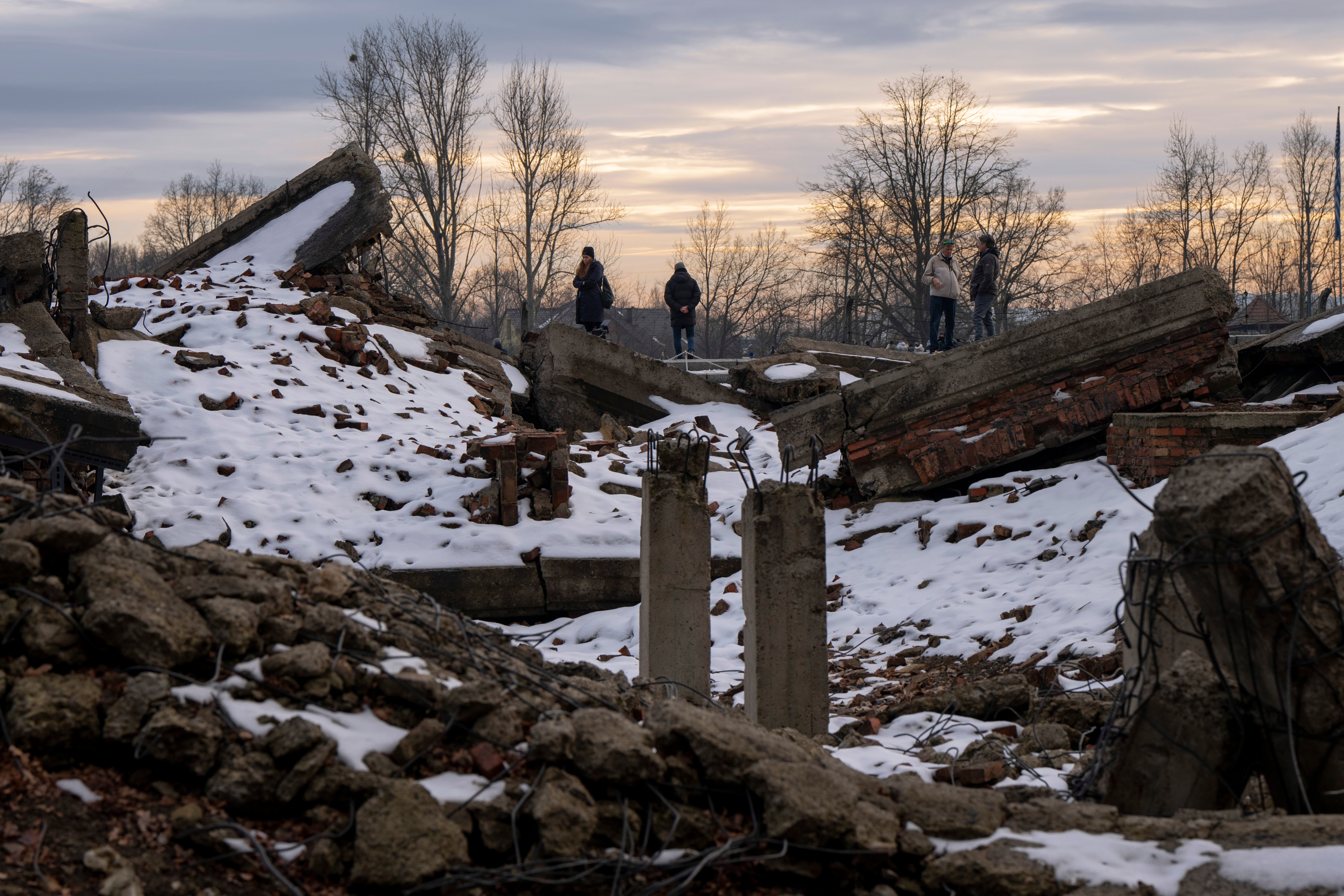 Auschwitz 80th Anniversary Photo Gallery