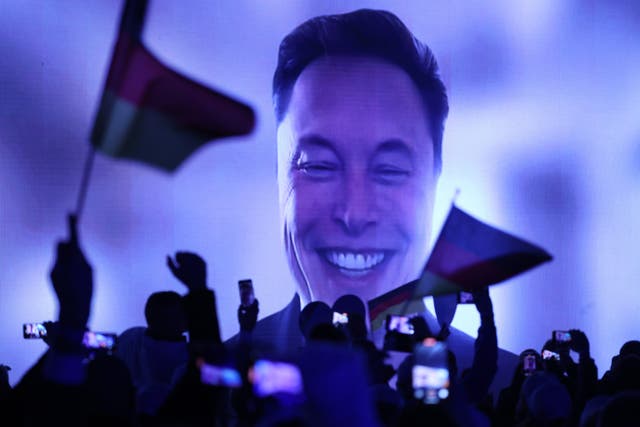 <p>Tech billionaire Elon Musk speaks live via a video transmission during the election campaign launch rally of the far-right Alternative for Germany (AfD) political party on Saturday </p>