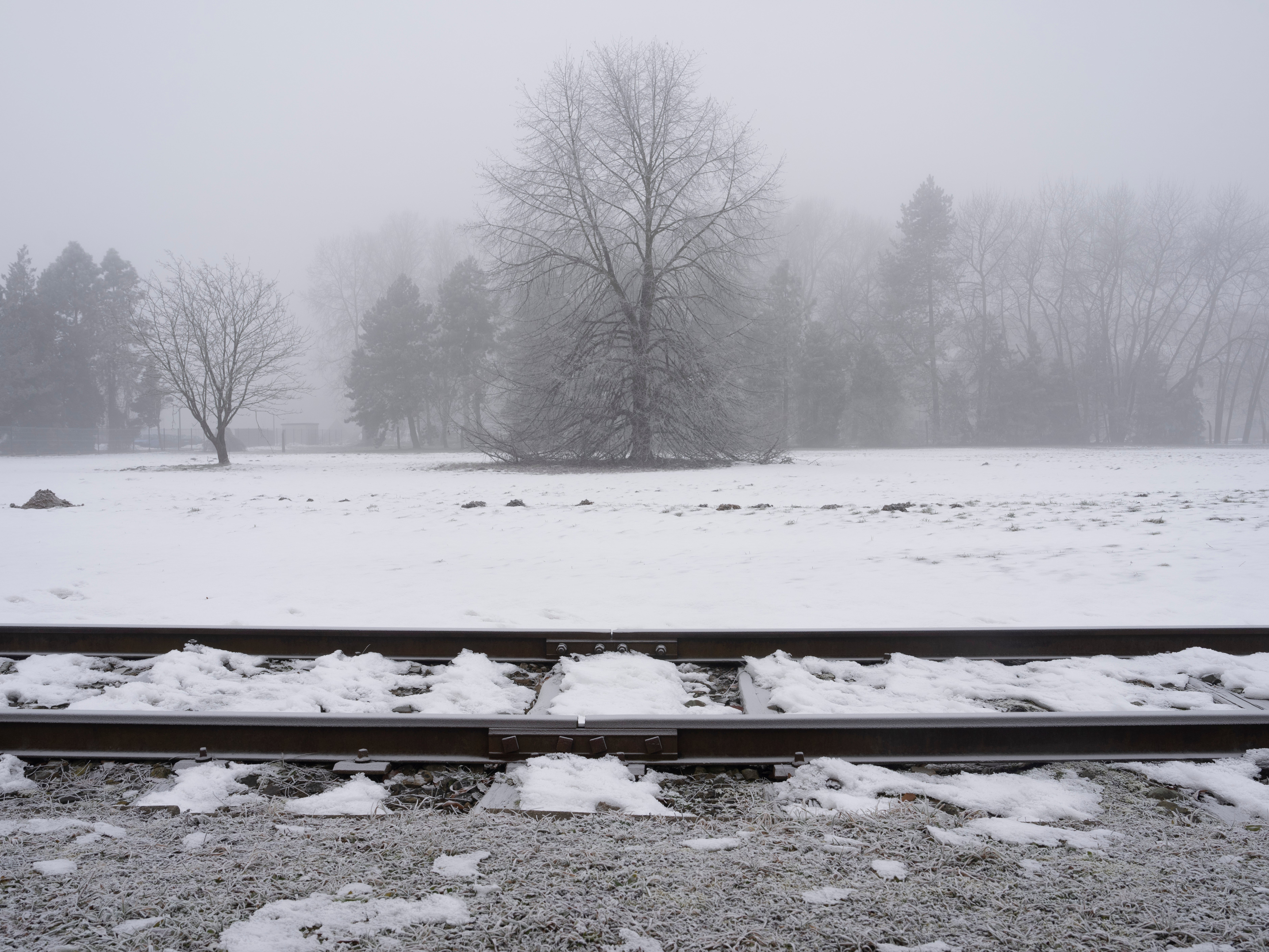 Railway To Auschwitz Photo Essay
