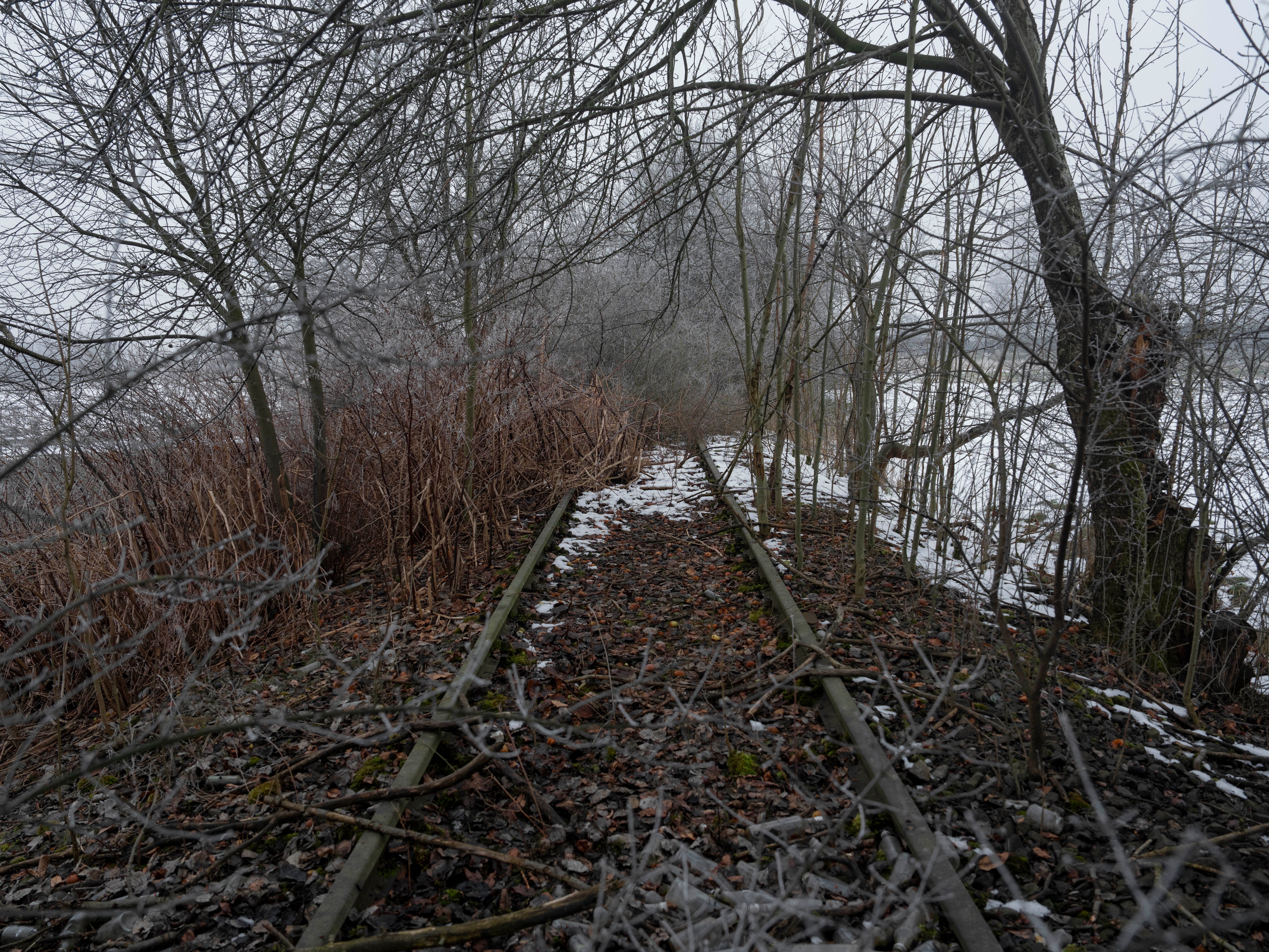 Railway To Auschwitz Photo Essay
