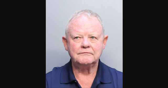 <p>James Ross Wightman, 65, was charged with six counts of illegal voting and classed as an ‘illegal alien’ from the United Kingdom under new Trump deportation laws</p>