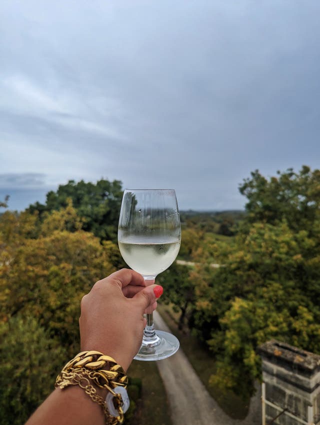 <p>Climate change means Hull could one day better Bordeaux for wine production</p>