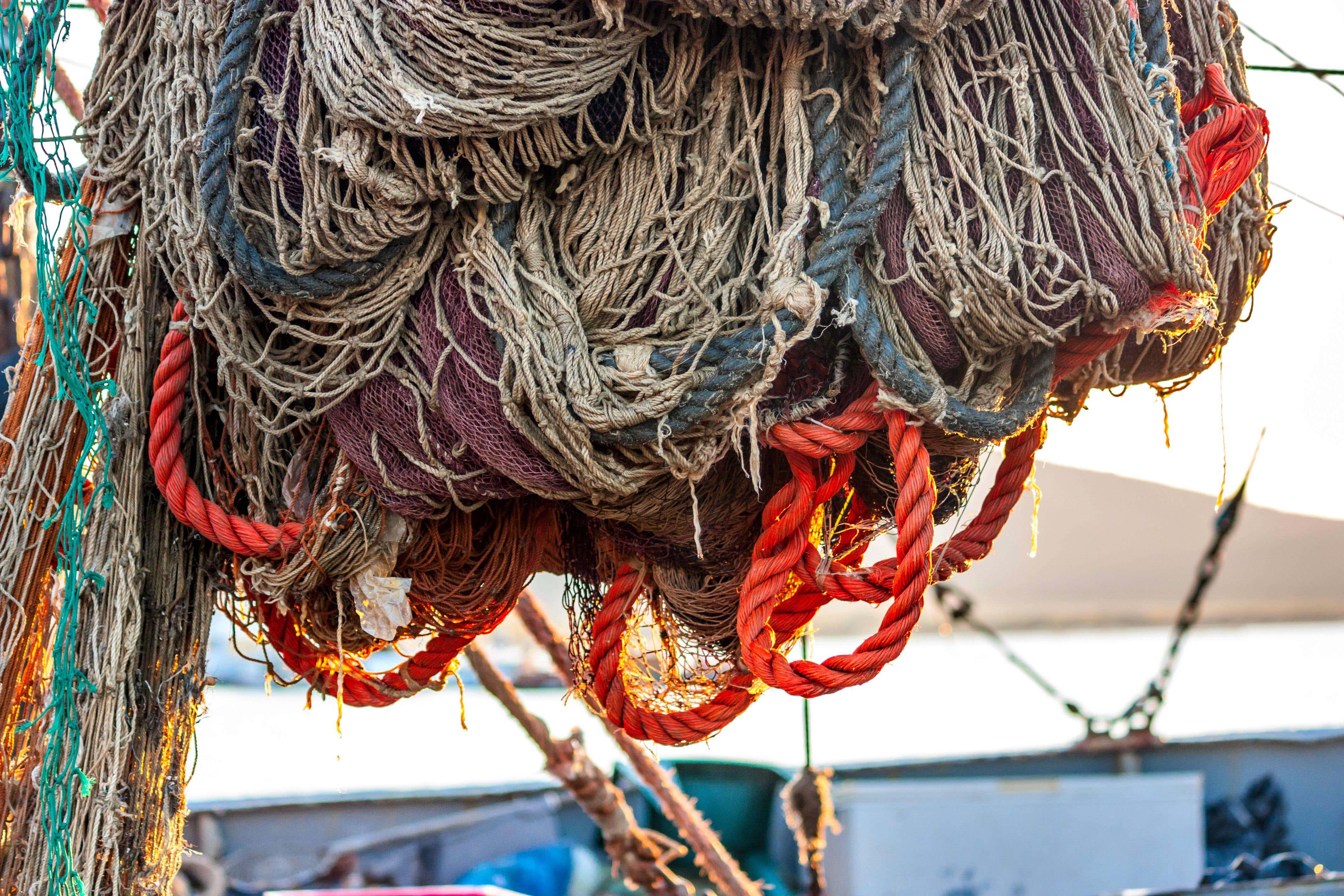 Bottom trawling is the act of dragging heavy nets across the seabed (Alamy/PA)