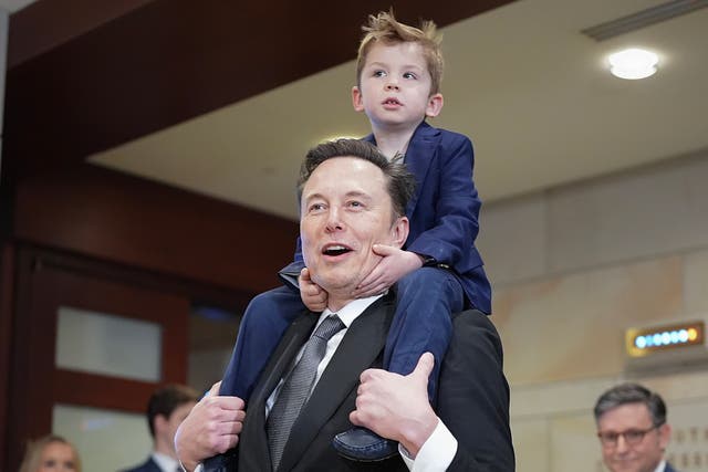 <p>According to Elon Musk, his four-year-old son X Æ A-12 who joined him stage at Donald Trump’s victory rally last week, is ‘a very enthusiastic [Trump] supporter’ </p>