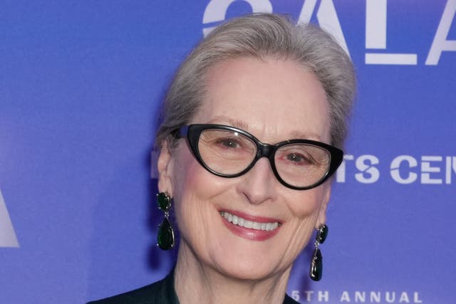 <p>Meryl Streep attending the 2024 Irish Arts Center Gala in New York in November 2024</p>