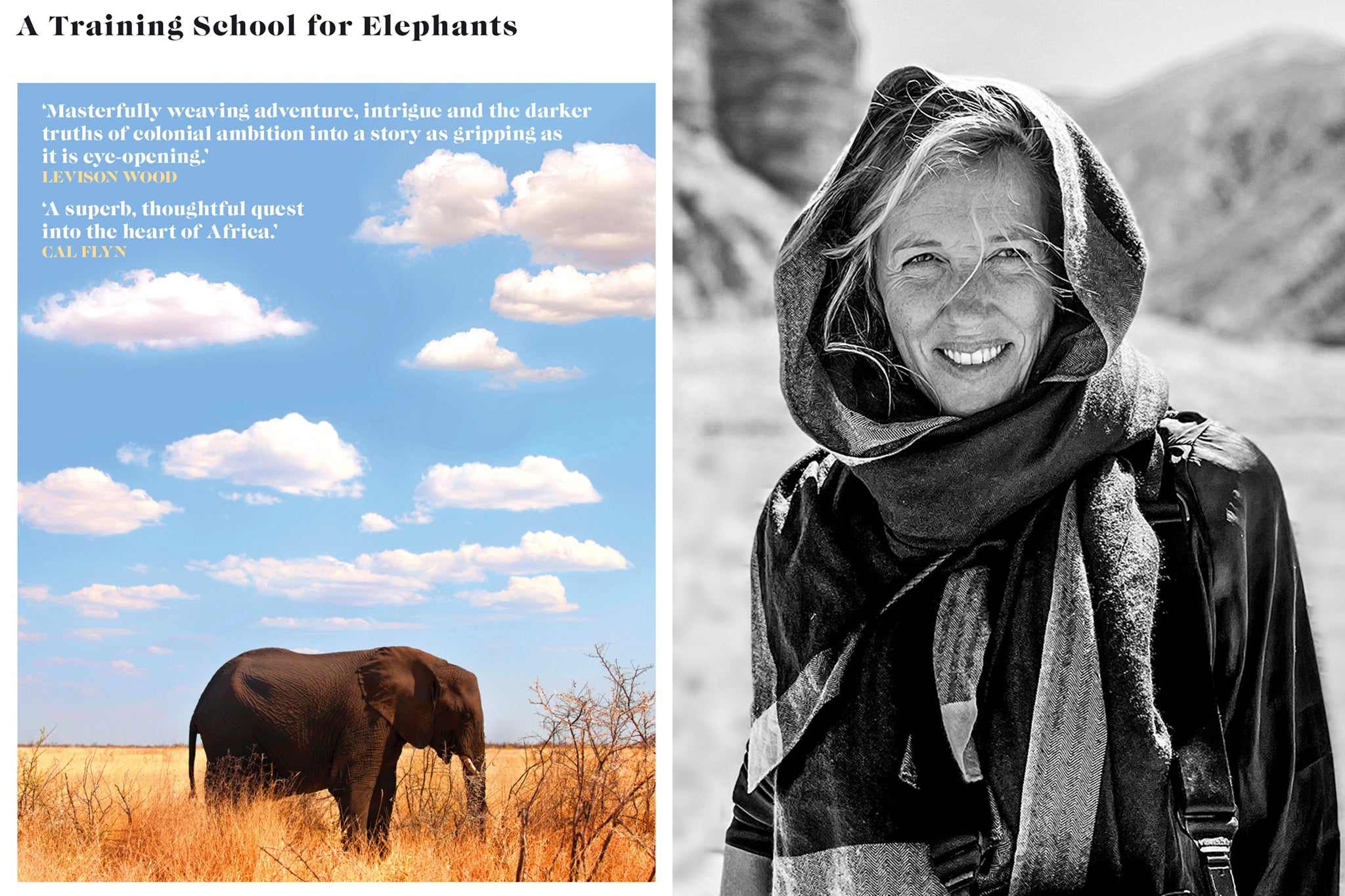 The bleak fate of so many magnificent elephants during the age of empire is told through the astute eyes of Sophy Roberts