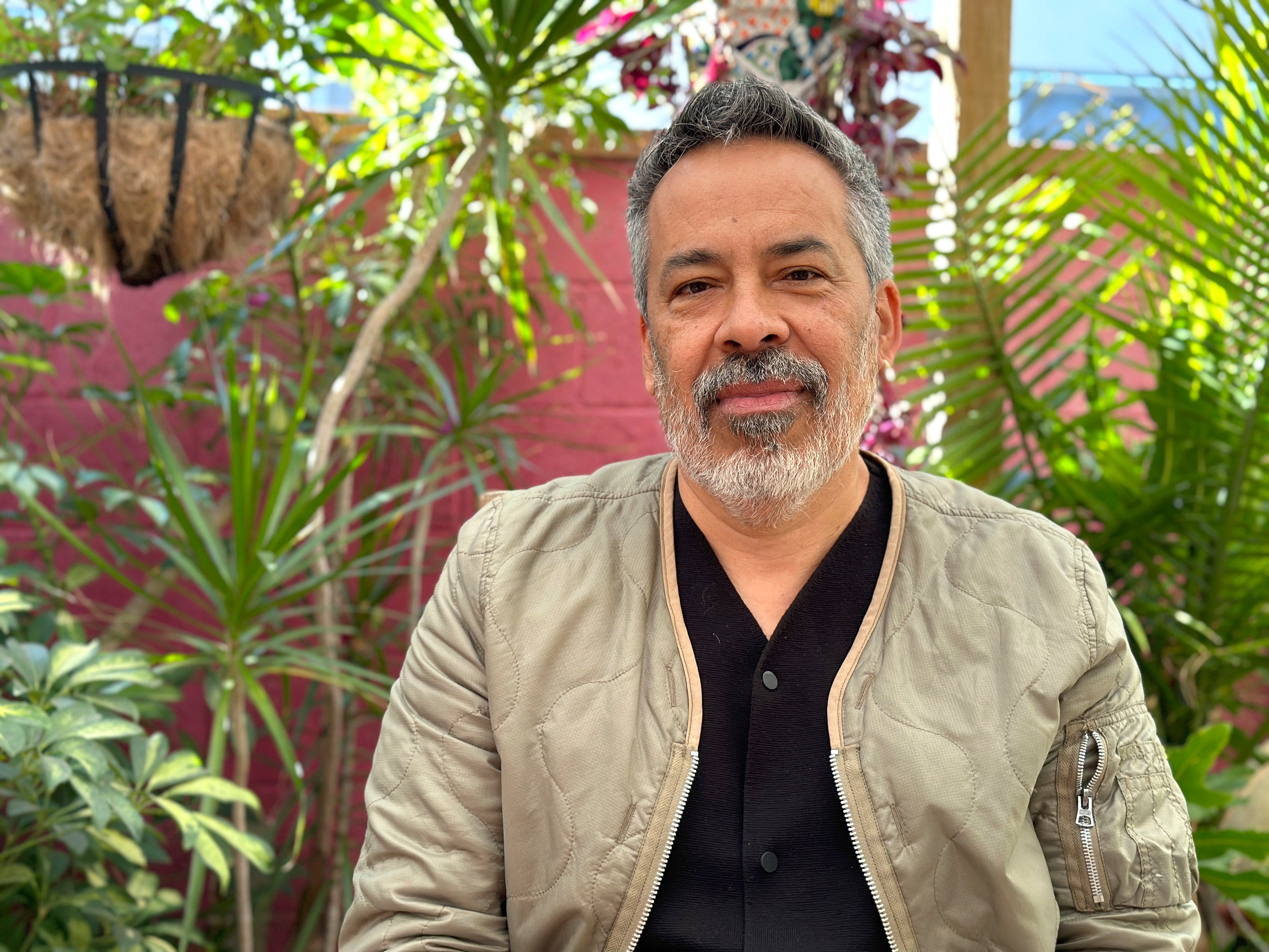 California Wildfires Artists