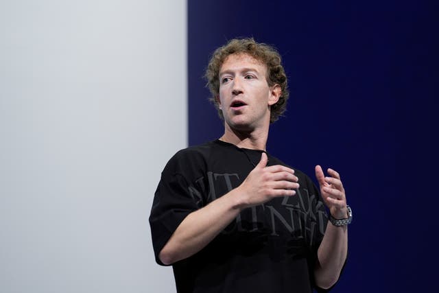 <p>Facebook founder Mark Zuckerberg</p>