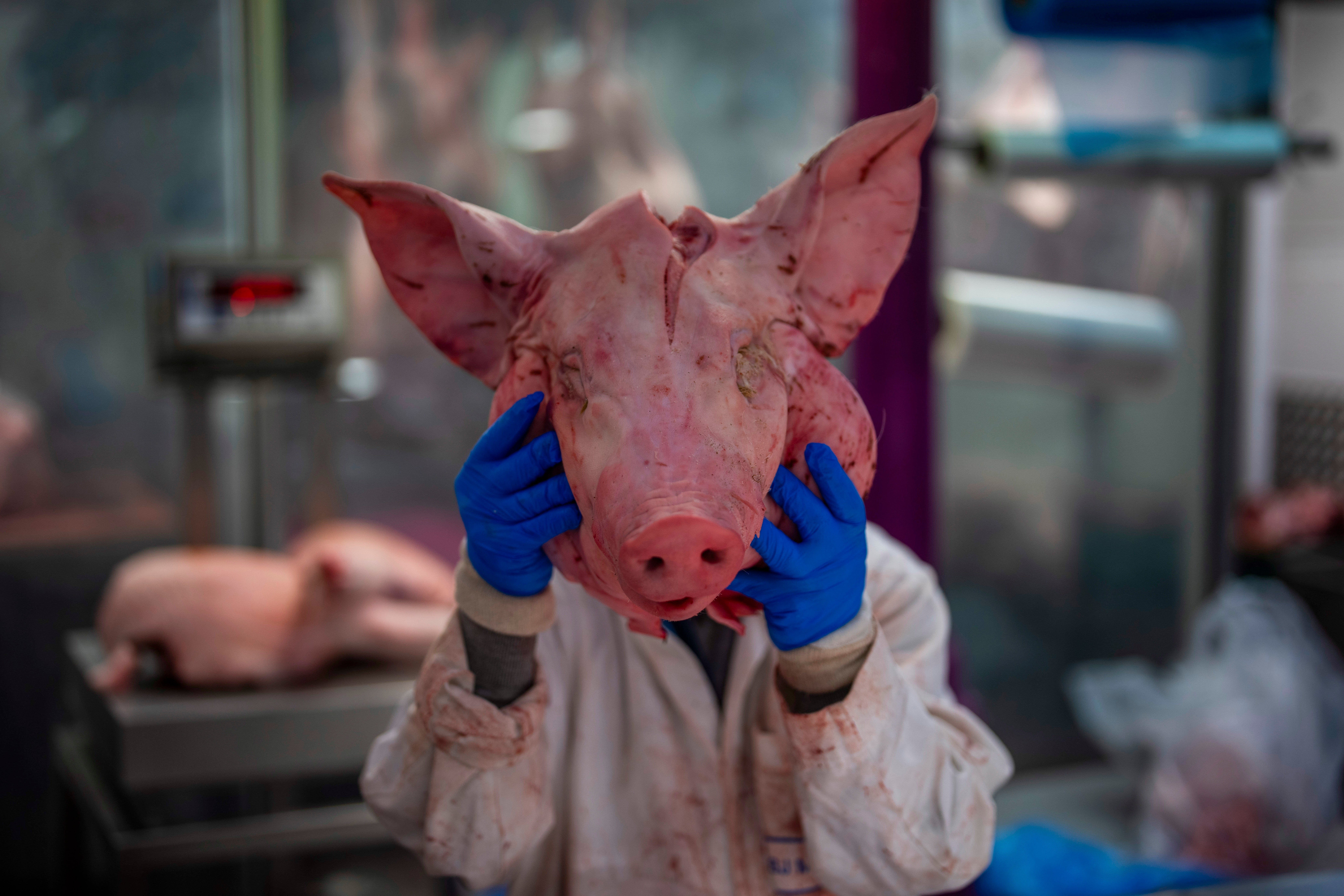 Britain Smithfield Market Photo Gallery
