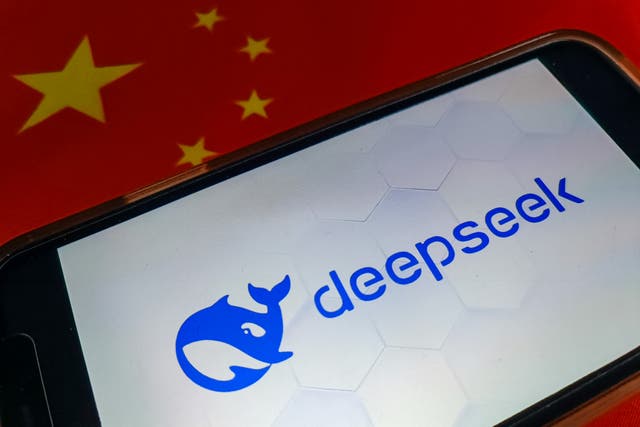 <p>DeepSeek AI</p>