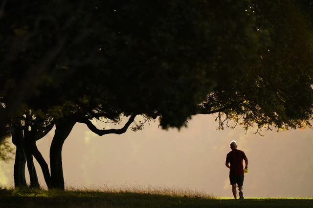 People who exercised throughout life were less likely to experience cognitive decline, a study found (PA)